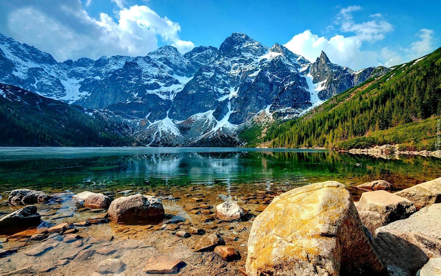 Osrodek Ski Suche & Zakopane Poronin Bagian luar foto